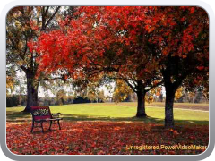 Beautiful Nature - The Four Seasons