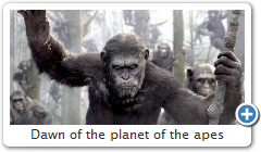 Dawn of the planet of the apes